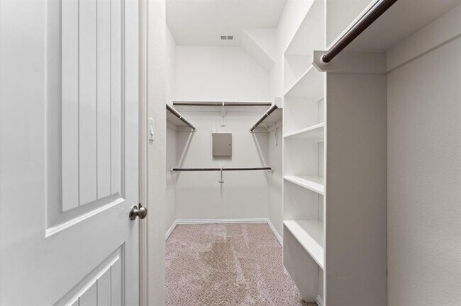 Building Photo - 2043 Plum Rose Ln
