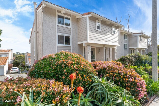 Primary Photo - 28258 Rey De Copas Ln