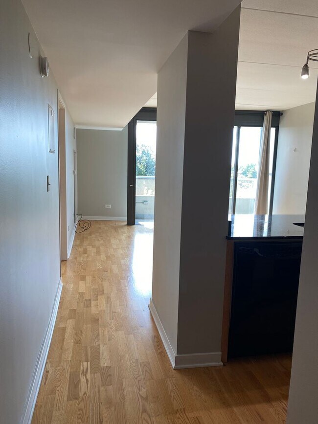 Building Photo - 1 Bed, 1 Bath Condo Near Downtown Evanston...