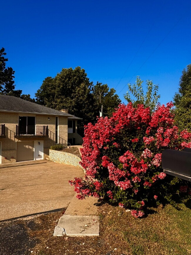 Building Photo - 14911 Dutchmans Dr
