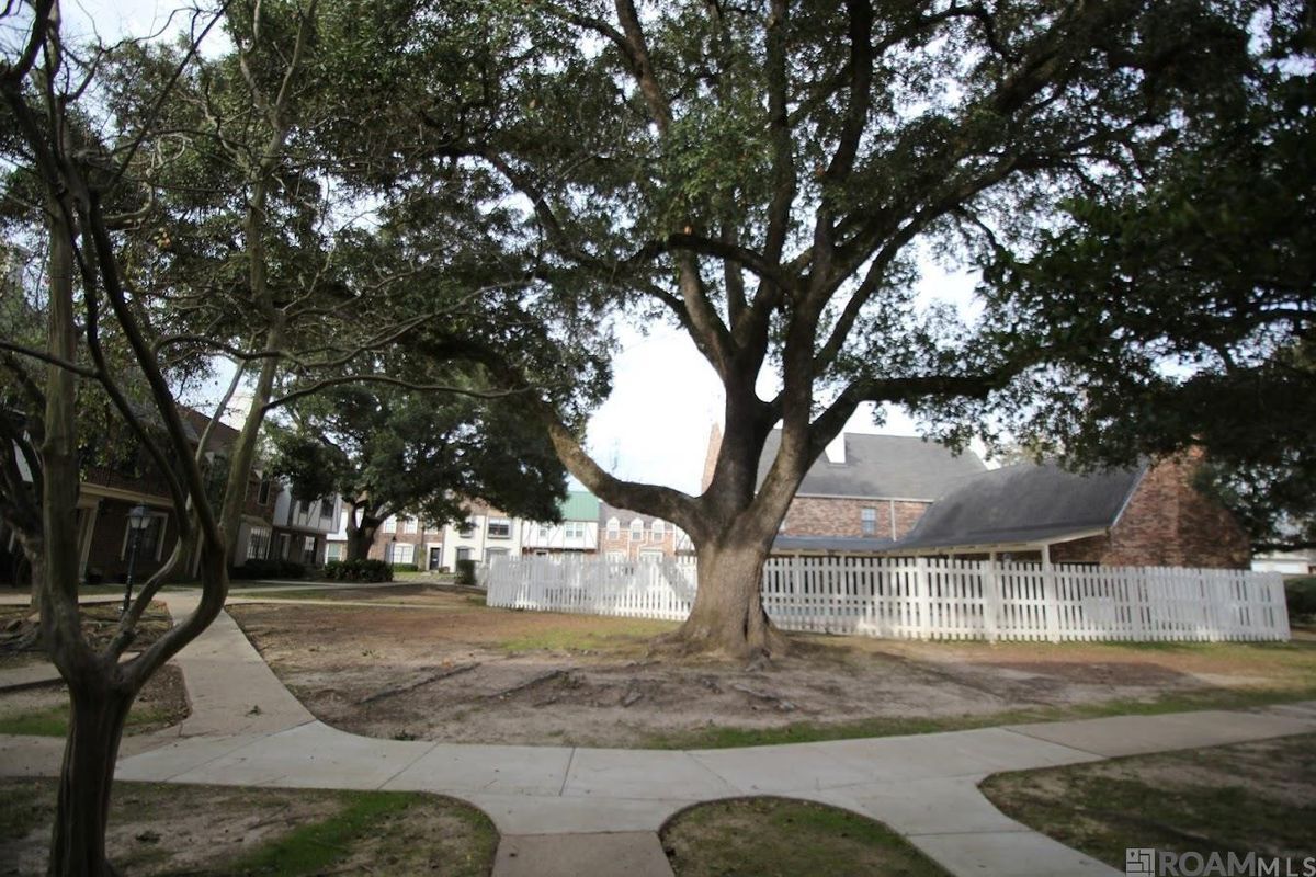 Building Photo - 10111 Jefferson Hwy