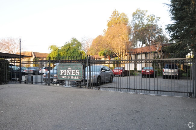 Primary Photo - The Pines