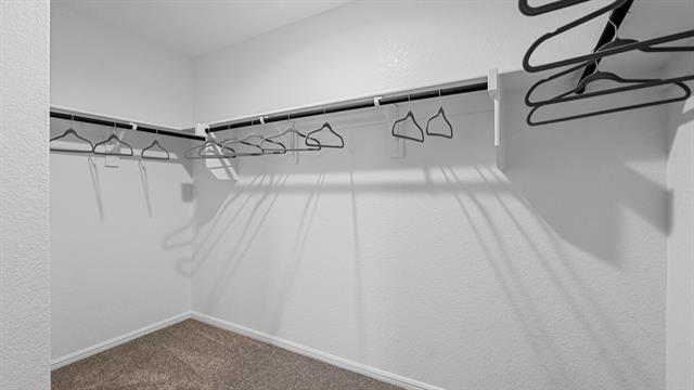 Building Photo - 8508 Beltmill Pkwy