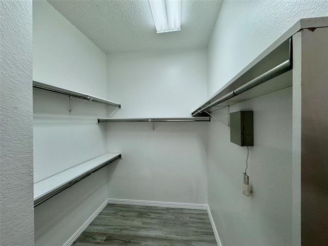 Building Photo - 711 Cottonwood Bend Dr