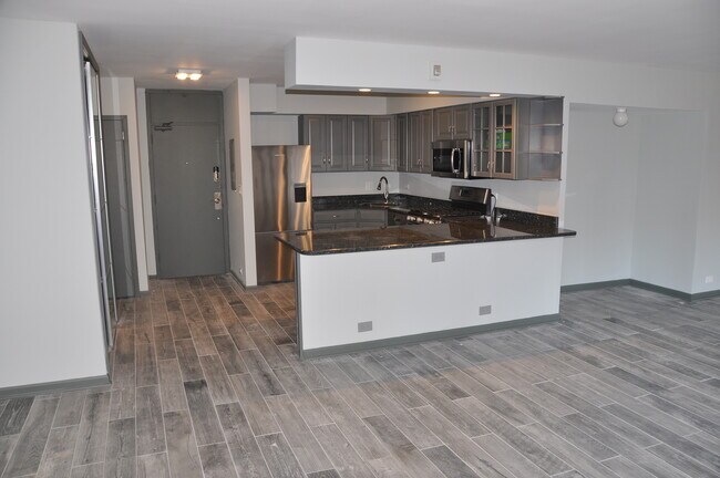 Building Photo - 1000 N Lake Shore Dr