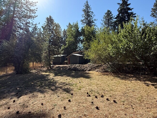 Building Photo - Beautiful 1 bed 1 bath home close to Spoka...