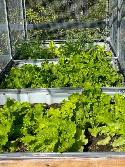 Building Photo - 2005 N Sycamore Ave