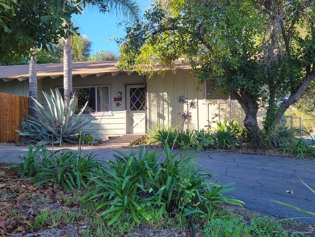 Building Photo - 330 Sky Vista Way