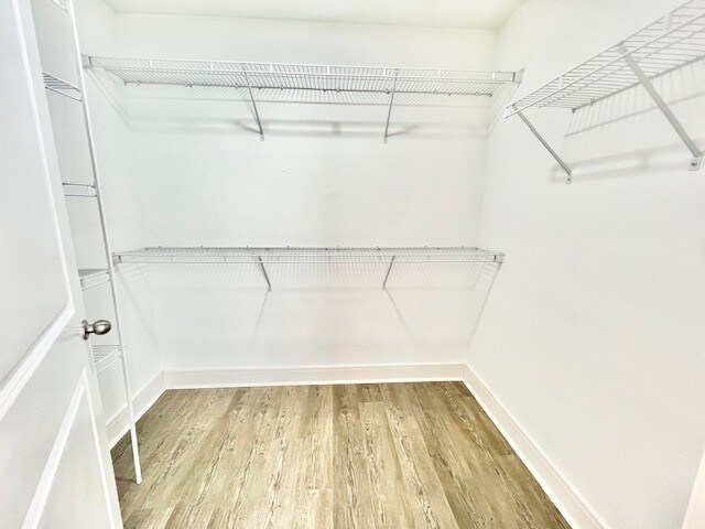 Building Photo - 165 Pommel St