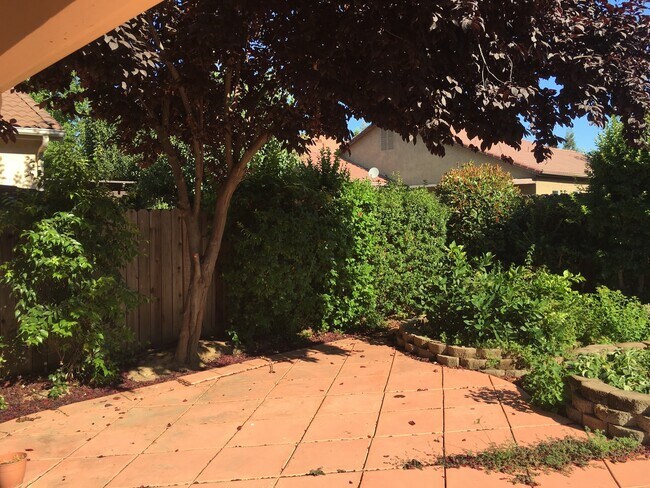Building Photo - GORGEOUS CLOVIS UNIFIED 4 BEDROOM HOME!