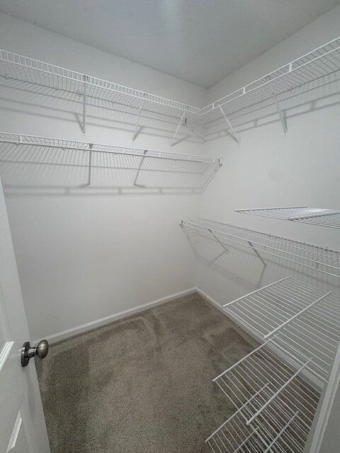 Building Photo - 3829 Sterling Pointe Dr