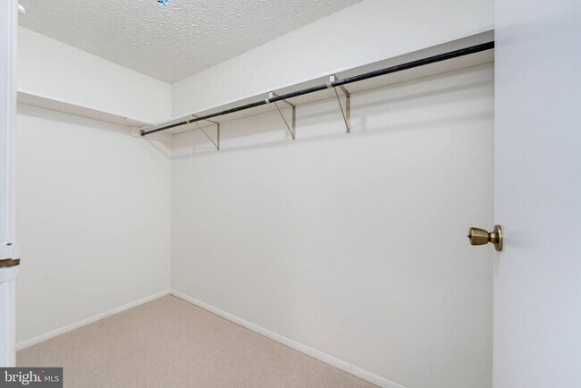 Building Photo - 8467 Magic Tree Ct