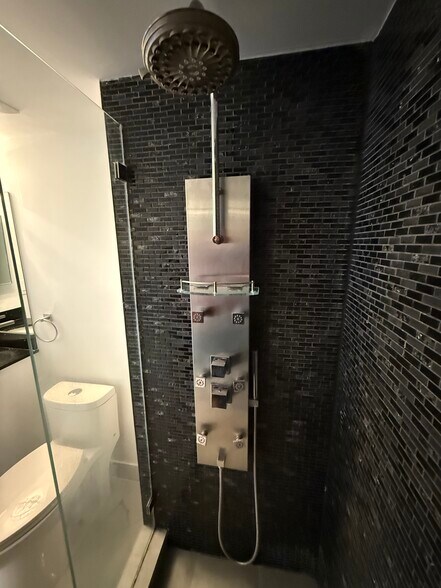 GUEST BA w spa massage jets - 780 NE 69th St