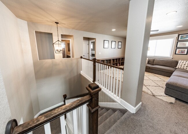 Building Photo - Beautiful, Spacious Home in Wolf Ranch in D20