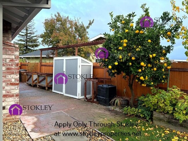 Building Photo - 1852 Olympic Dr