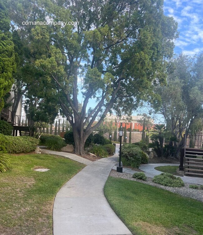 Building Photo - Beautiful 2 bedroom Condo