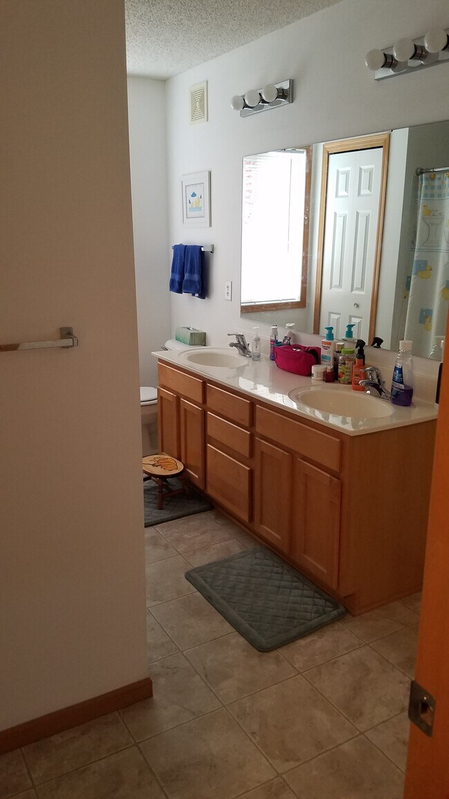 Main Bathroom - 17195 Monroe Drive NW