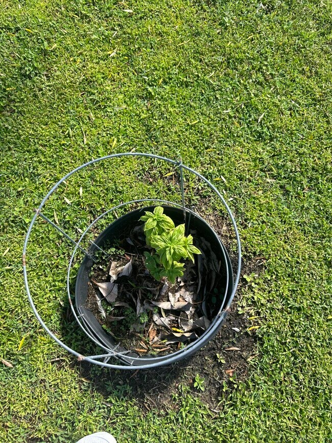 Building Photo - 1592 SE Burning Ct