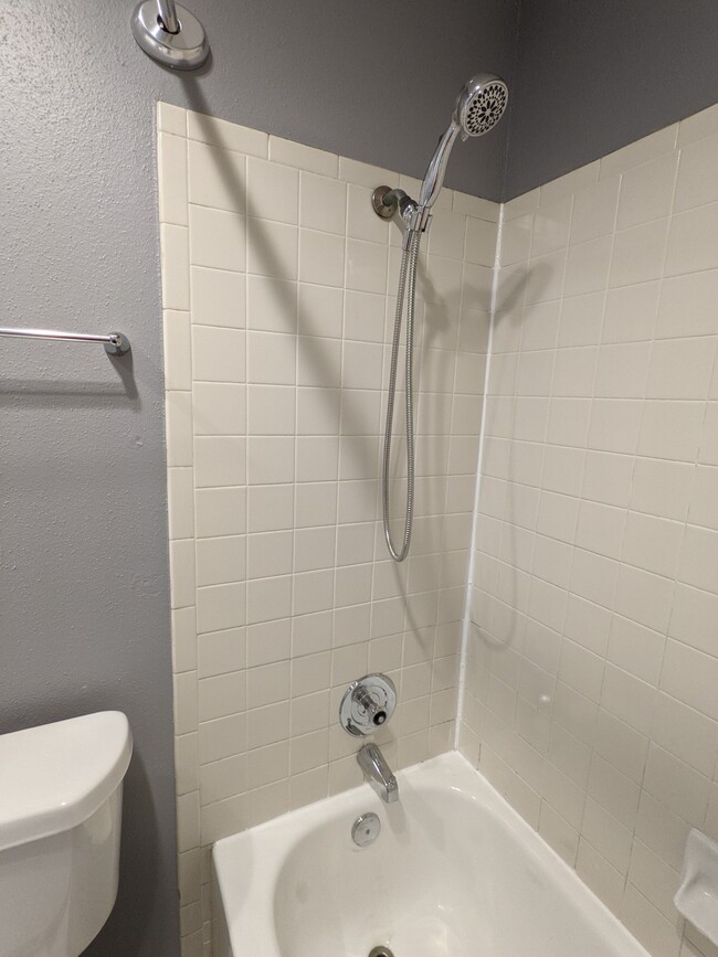 Master Bathroom - 2555 Corian Glen Dr