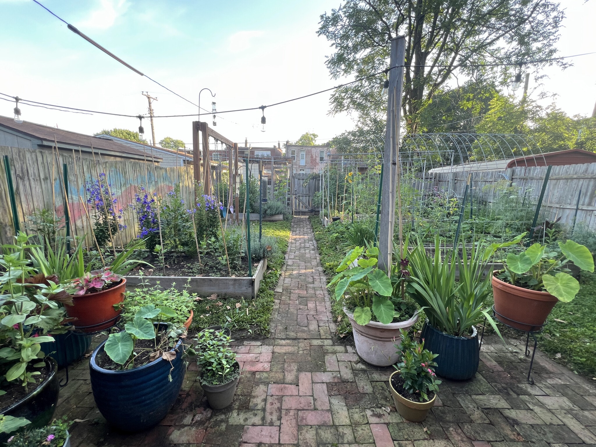 Patio & Backyard - 3817 Lafayette Ave