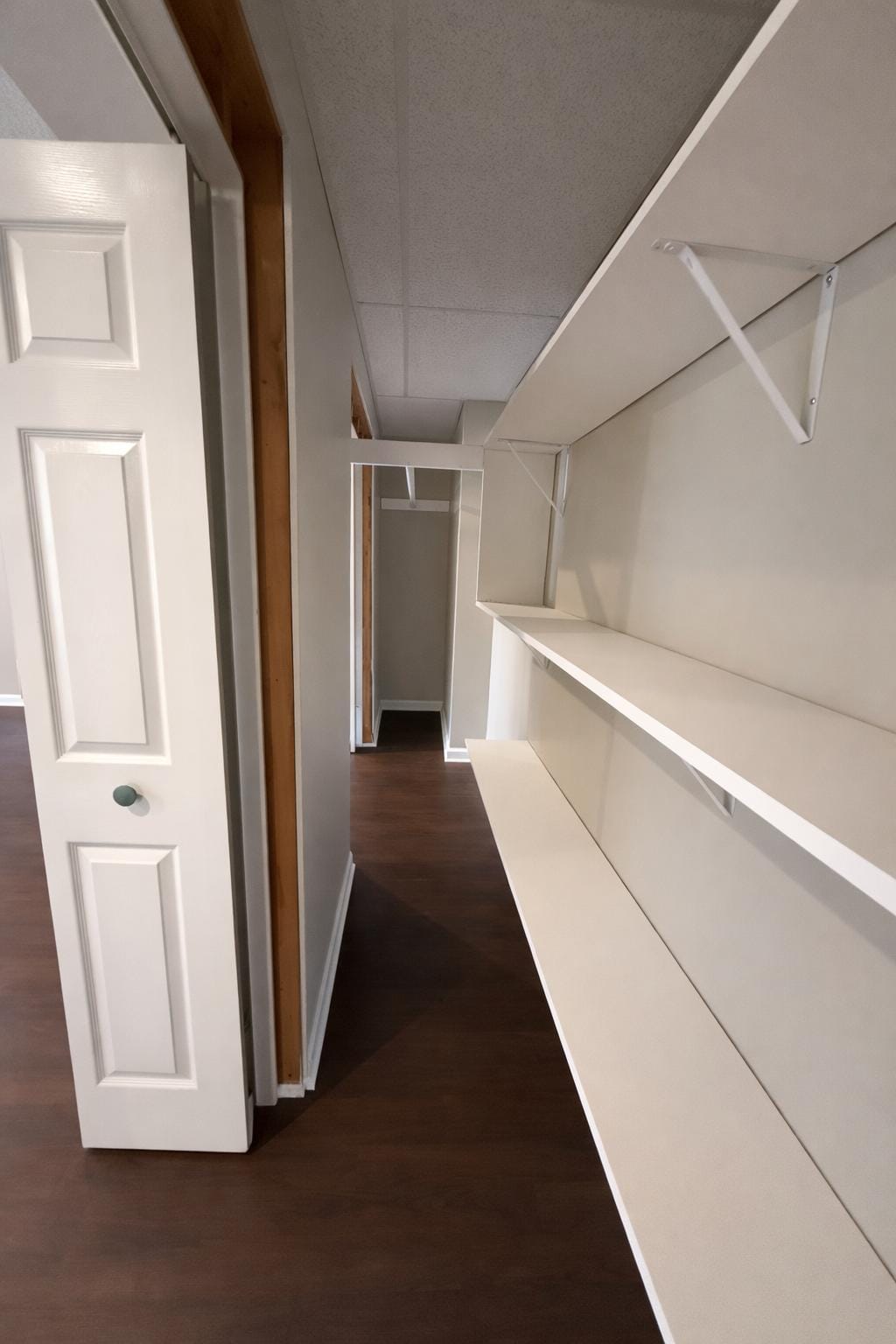 Closet - 2524 Dunhaven Gln