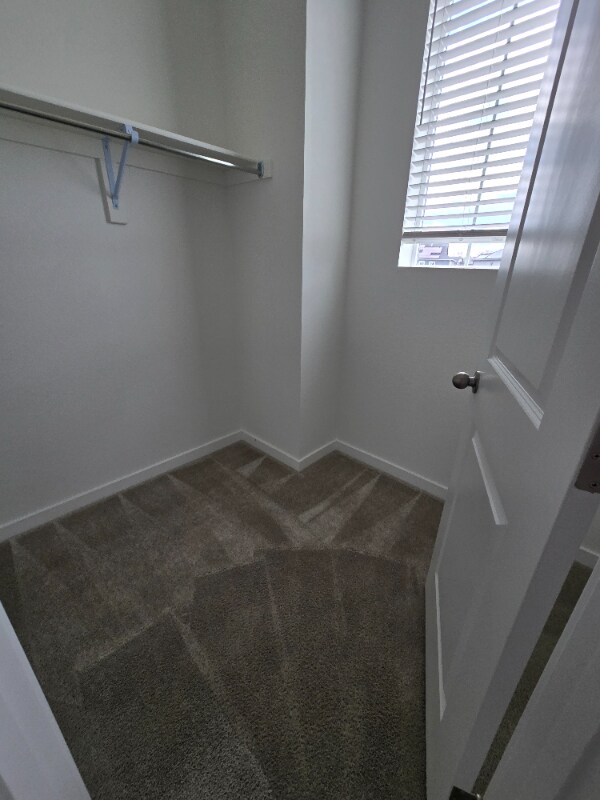 Building Photo - 4350 Timnath Pkwy