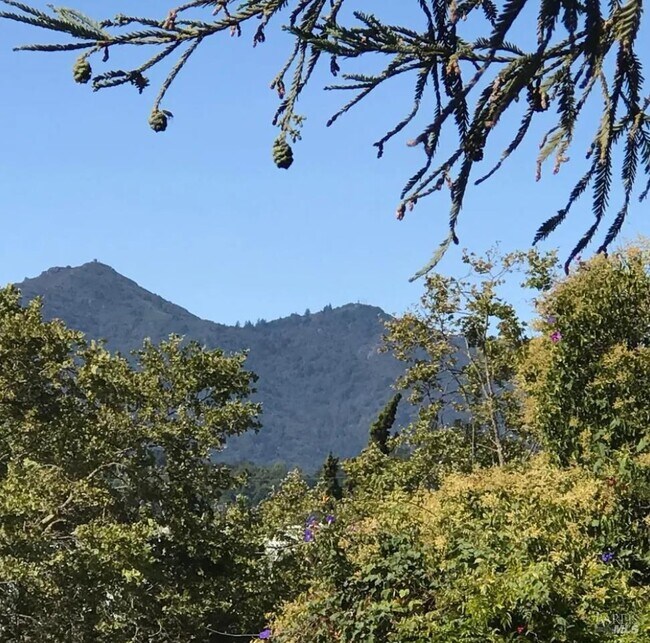 Building Photo - 1309 Nye St