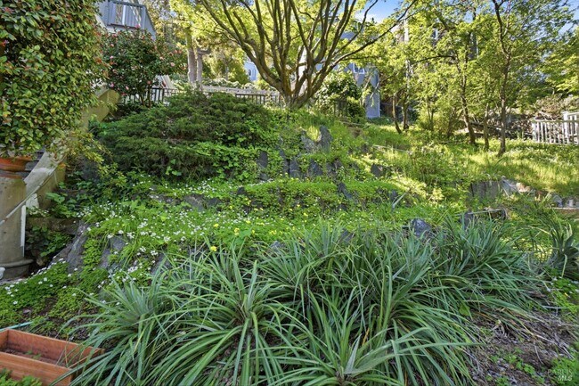 Building Photo - 172 Bella Vista Ave