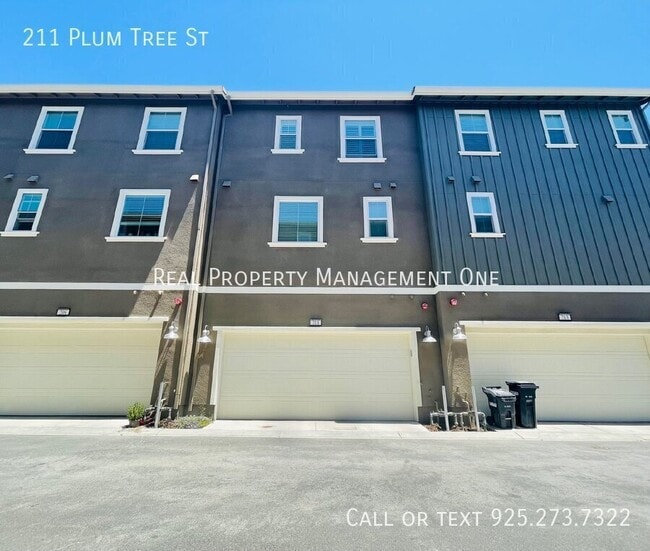 Building Photo - 211 Plum Tree St
