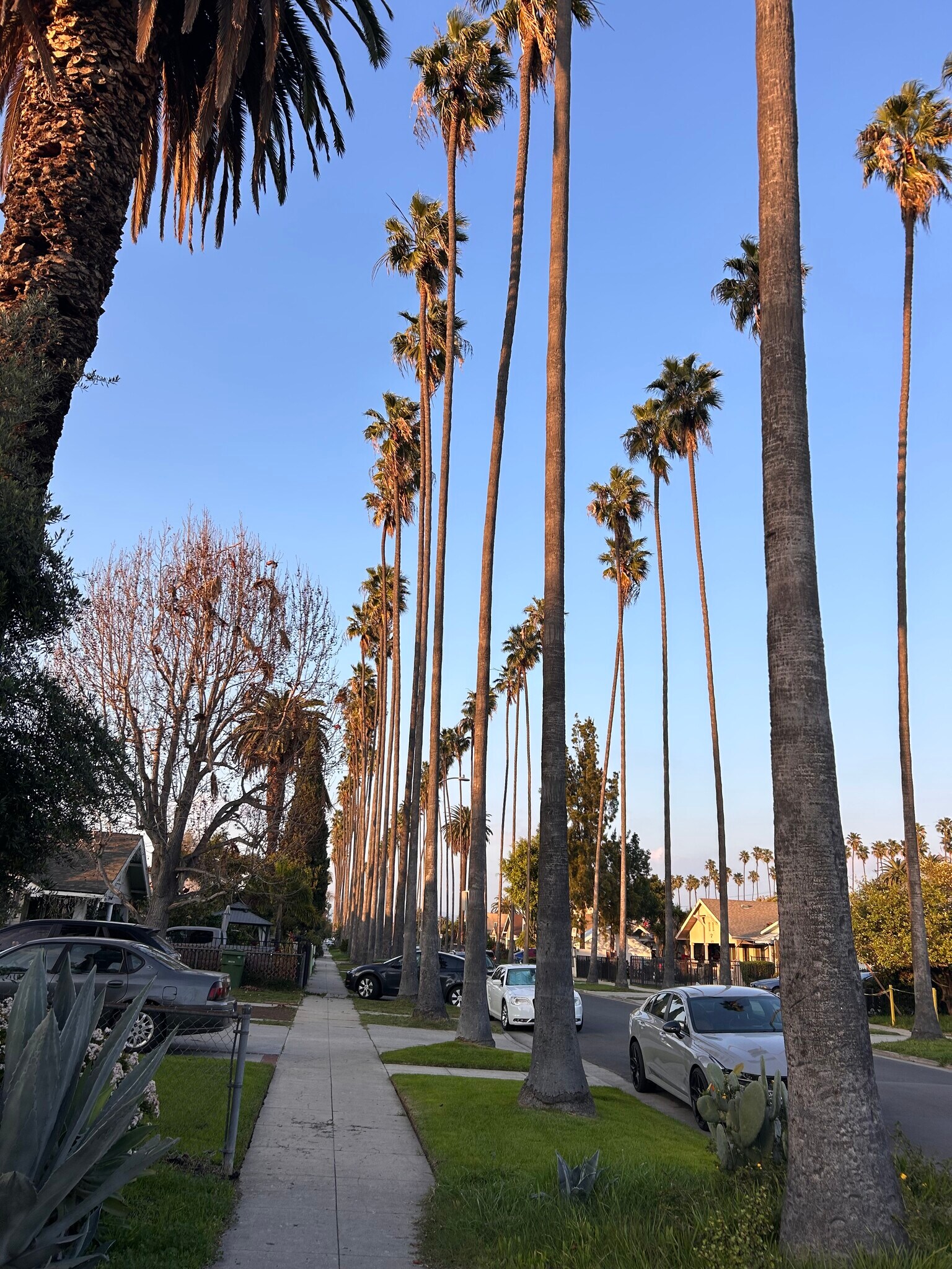 Building Photo - 4717 S Van Ness Ave