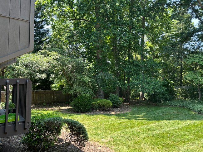 Building Photo - 139 Cedar Cove Ln