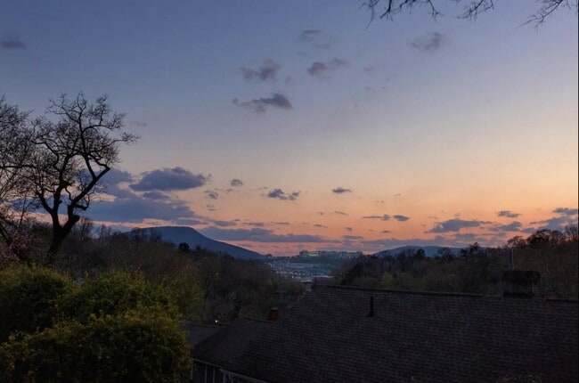 Building Photo - 516 Moonhollow Ln