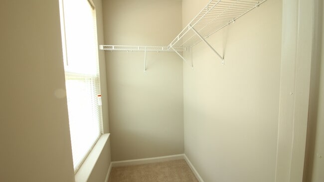 Building Photo - 3/2.5 House with Fenced-In yard and GORGEOUS interior!