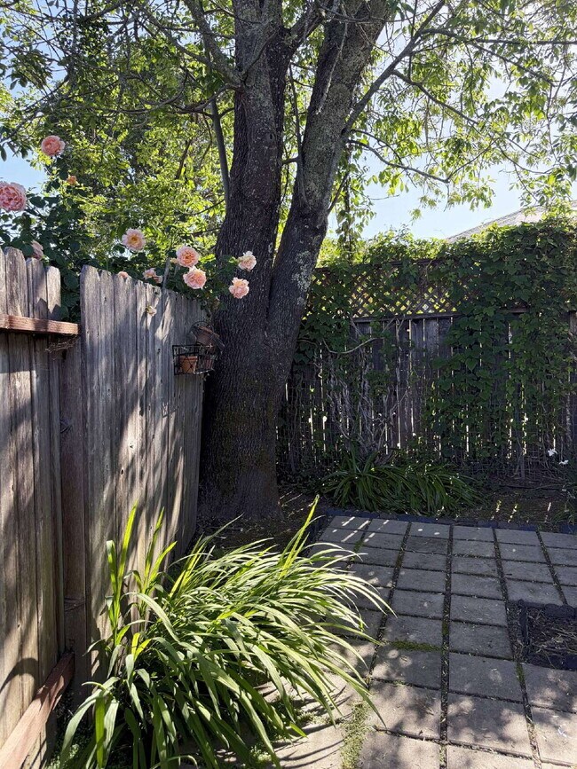 Building Photo - 1 Bed, 1 Bath in Glen Ellen