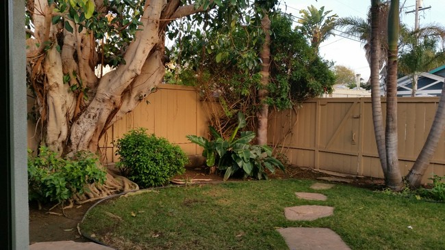 South facing Large Private front yard - 120 Cadmus St