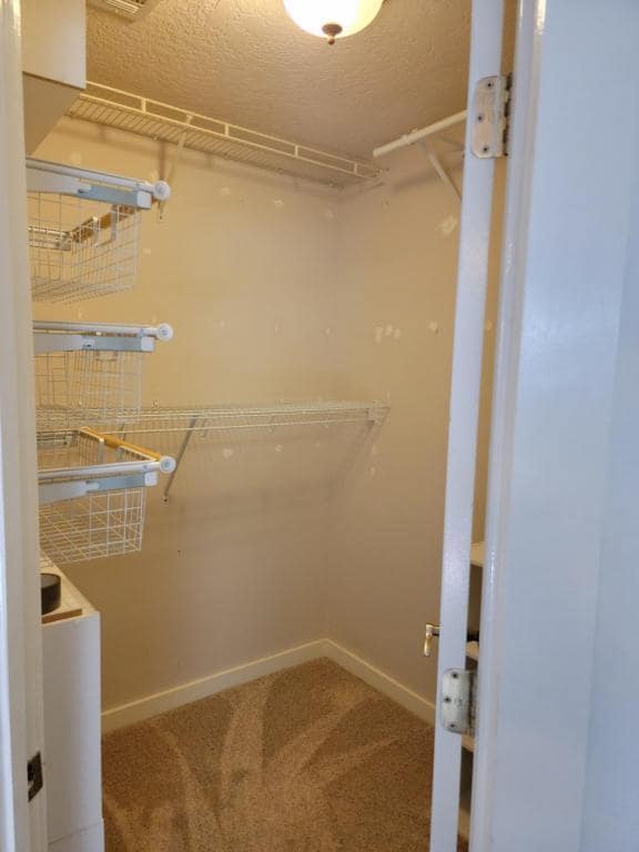 Building Photo - 944 Claeven Cir
