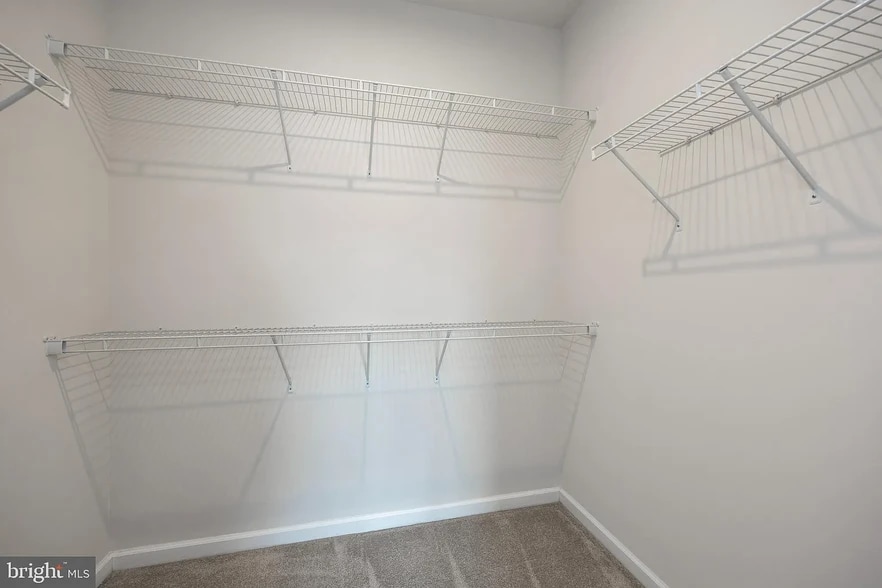 Master Bed Walk in Closet - 406 Blue Welsh St