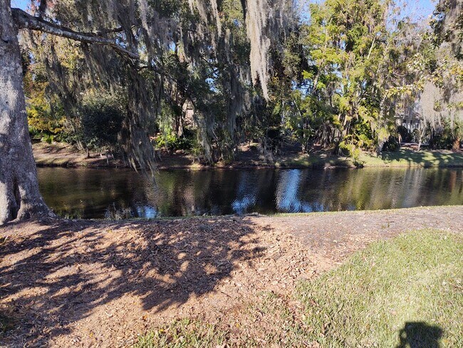 Building Photo - Gorgeous 3 bedroom 2 bath townhome with FL...