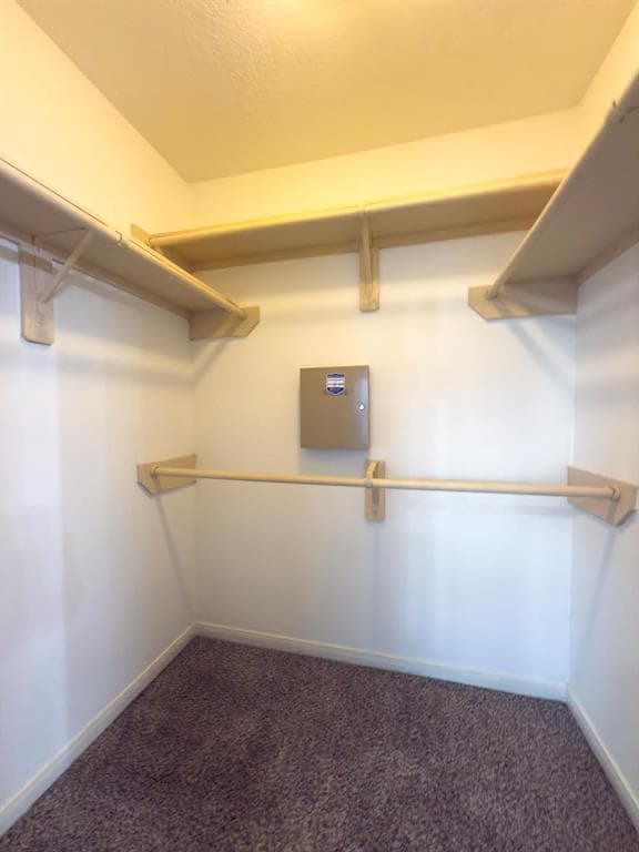 Building Photo - 5227 Brinkman Ct
