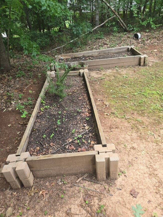 Building Photo - FOR RENT in HARRIS COUNTY with SWIMMING POOL! Available July 1st