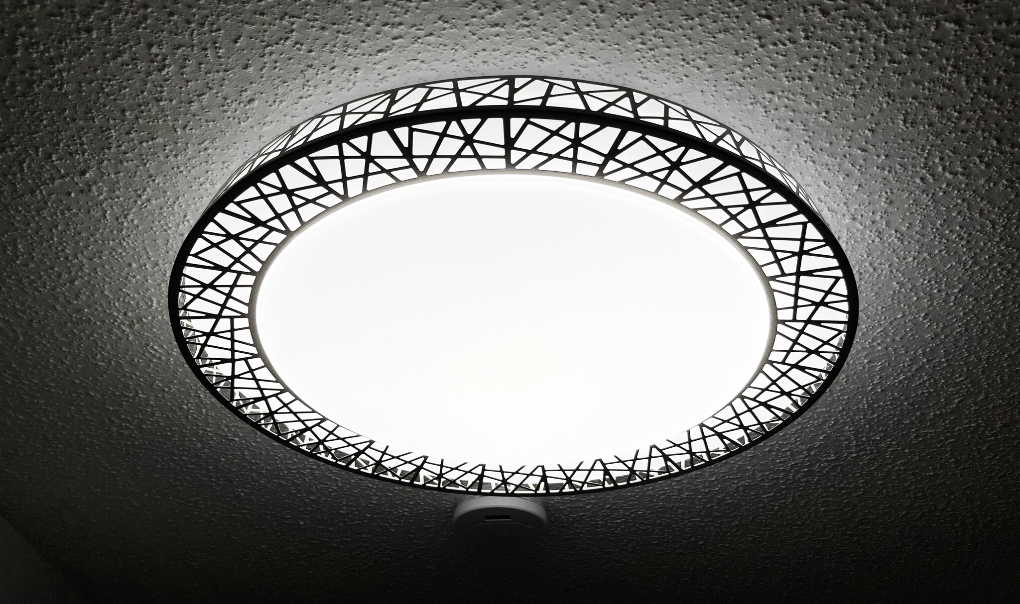 Building Photo - 3879 Polk St NE