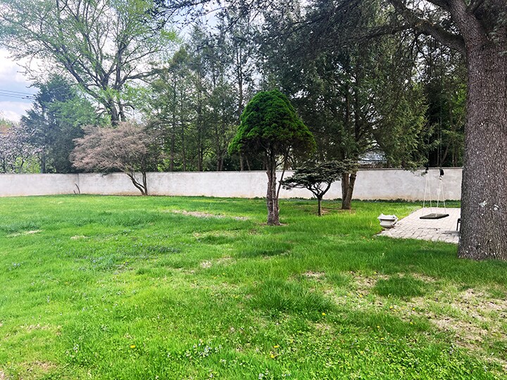 Backyard - 605 Piermont Ave