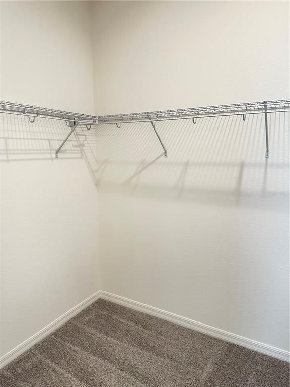 Building Photo - 5850 Ali Grace Dr