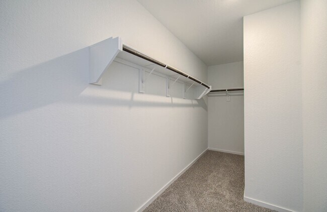 Building Photo - 3012 Dylan Skyland Dr