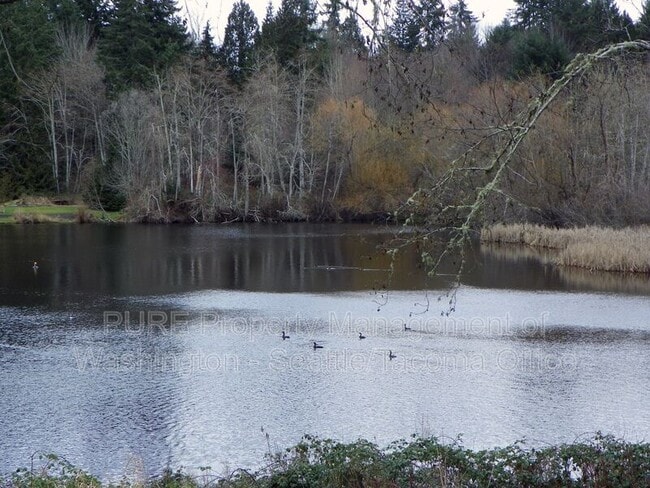 Building Photo - 8313 71st St NW