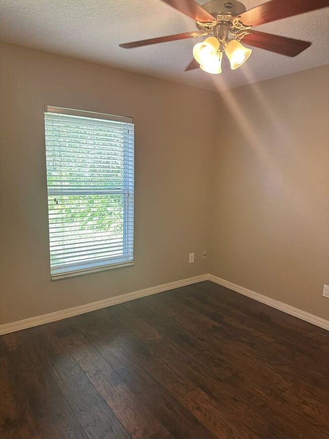 Building Photo - Palm Harbor Pool Home!