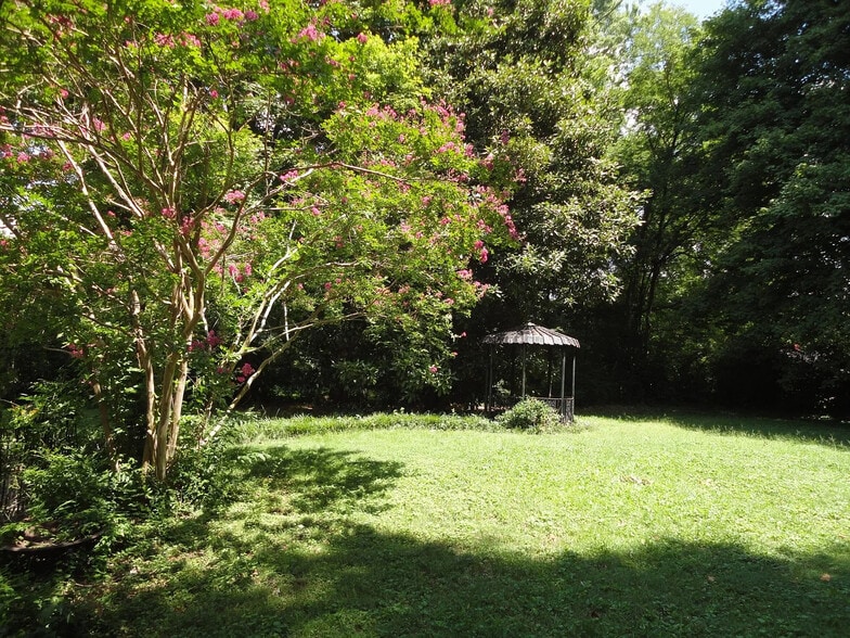 Back yard - 309 Tyne Ave