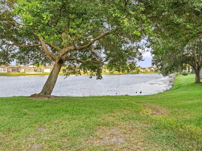 Building Photo - Sawgrass at Suntree
