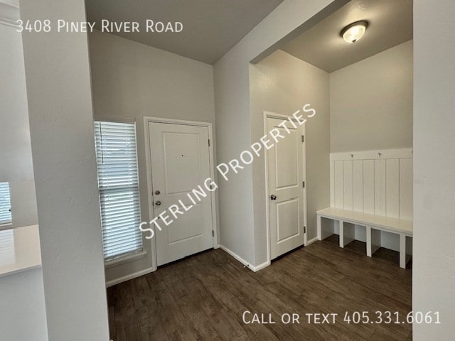 Building Photo - 3408 Piney River Dr