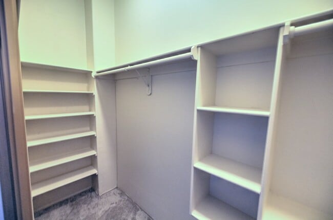 Building Photo - Single Story Foothills Home with Brand New Carpet in all Bedrooms!